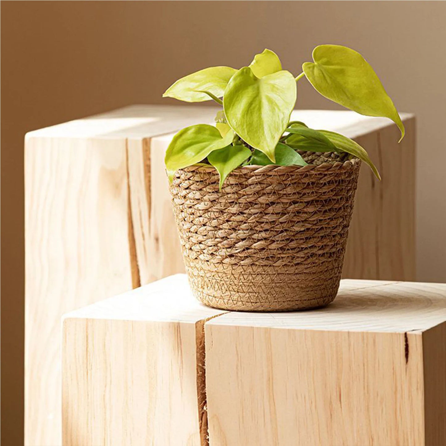 Straw Weaving Flower Plant Pot Basket