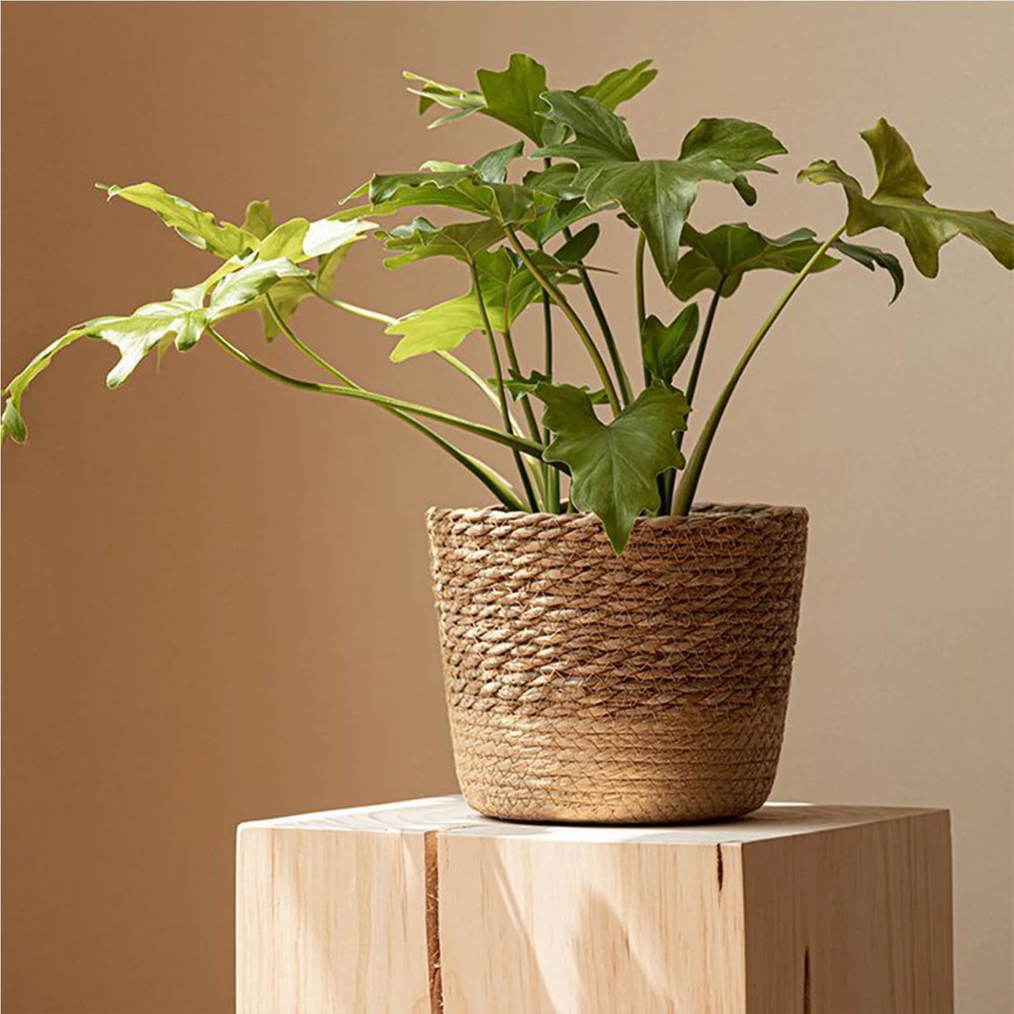 Straw Weaving Flower Plant Pot Basket