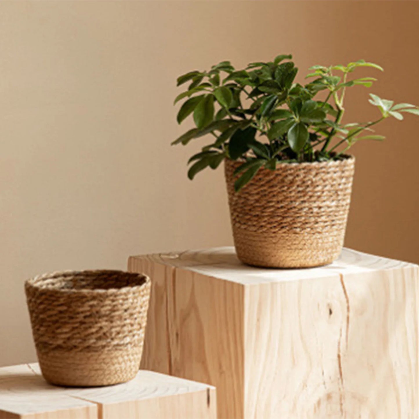 Straw Weaving Flower Plant Pot Basket